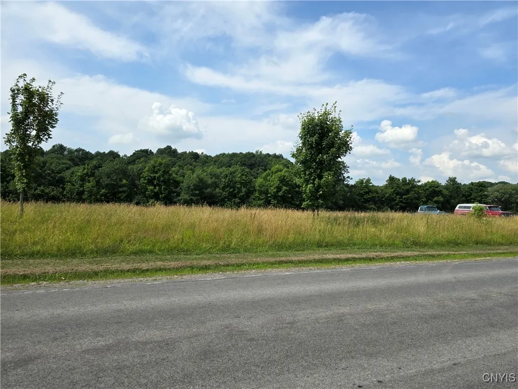 Lowville Road, Rodman, New York 13682, Rodman, New York 13682, ,Land,For Sale,Lowville Road, Rodman, New York 13682,S1622014