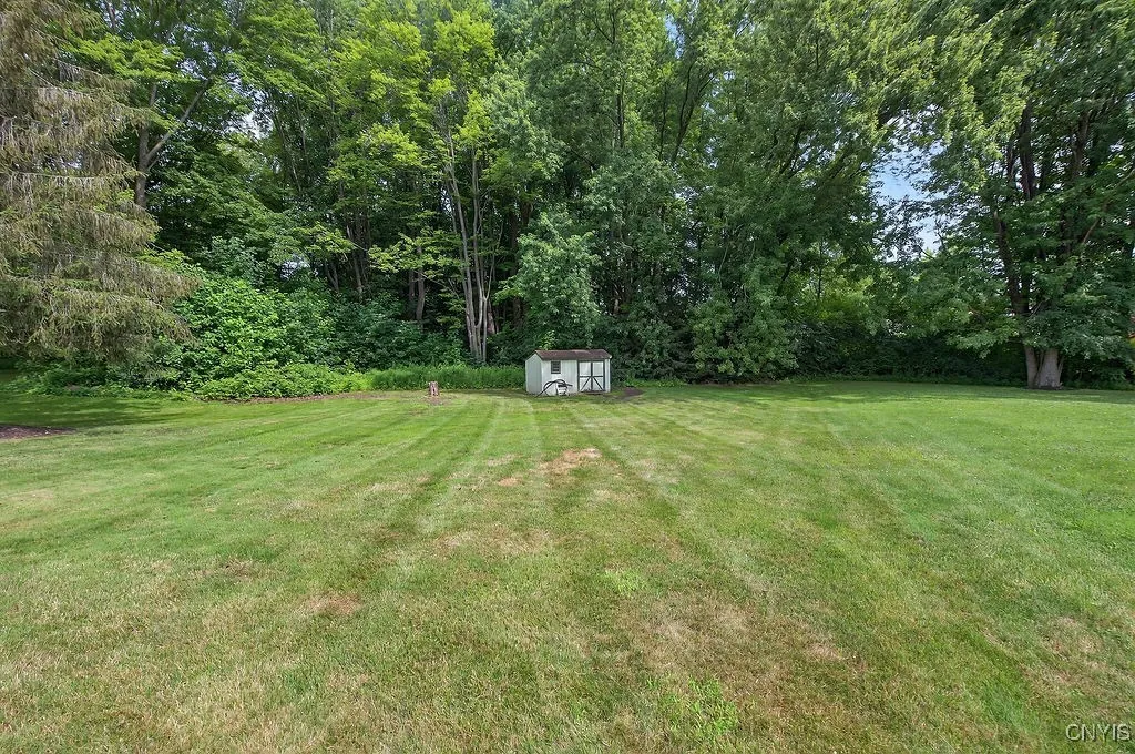 Large back yard