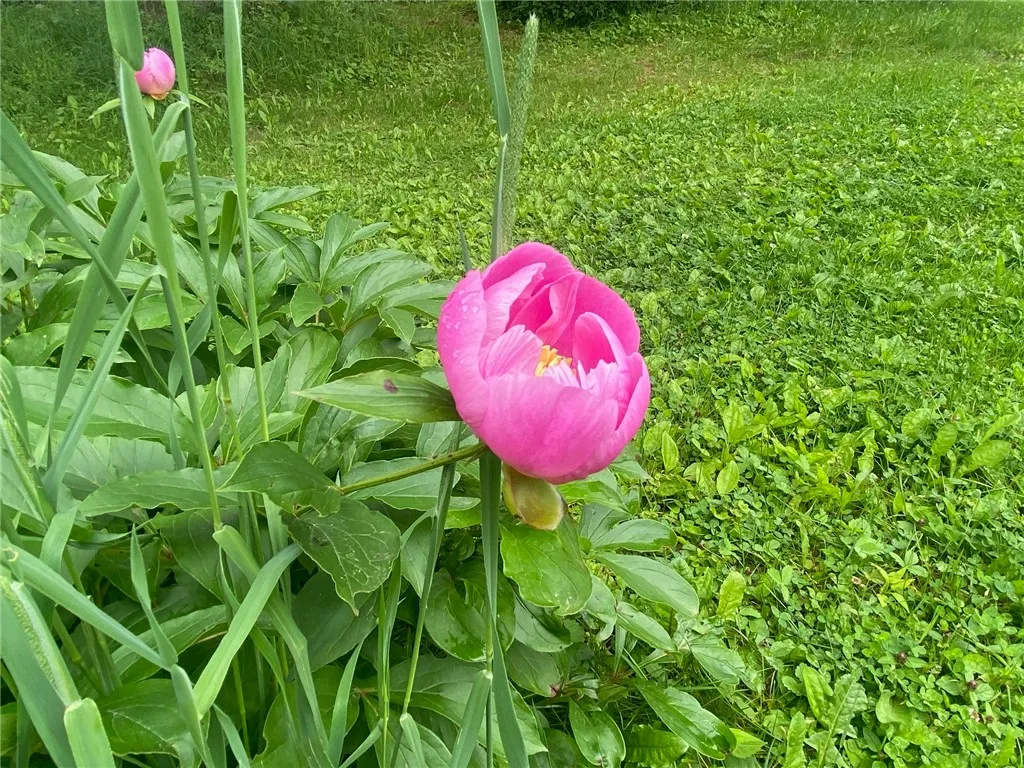 166 Norton Cross Road, Middlefield, New York 13326, Middlefield, New York 13326, 3 Bedrooms Bedrooms, 10 Rooms Rooms,2 BathroomsBathrooms,Residential,For Sale,166 Norton Cross Road, Middlefield, New York 13326,R1615318