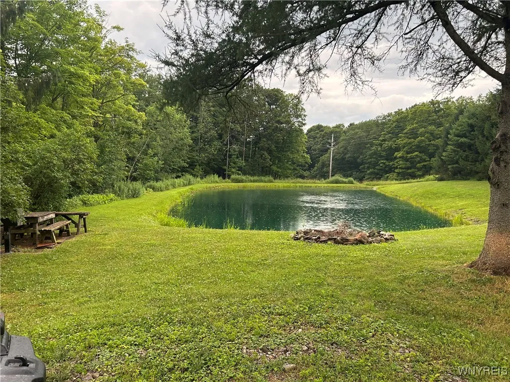 clean and well kept pond