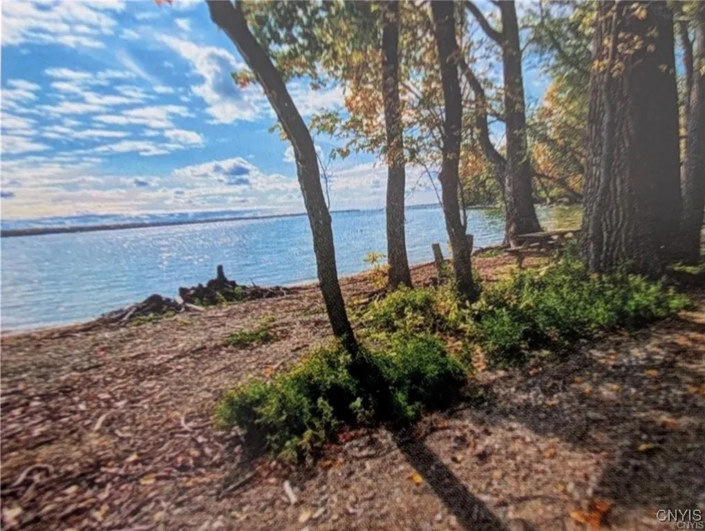 Walrath Road, Lyme, New York 13622, Lyme, New York 13622, ,Land,For Sale,Walrath Road, Lyme, New York 13622,S1622261