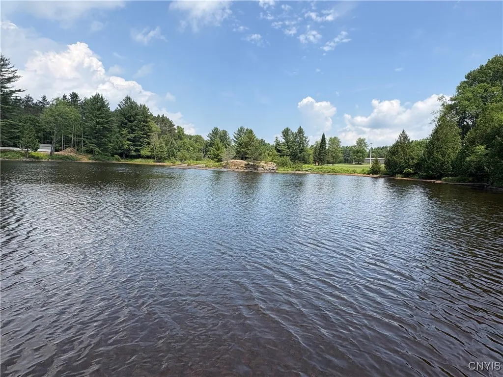4279 Factory Road, Diana, New York 13665, Diana, New York 13665, ,Land,For Sale,4279 Factory Road, Diana, New York 13665,S1621857