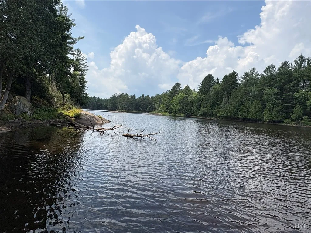4279 Factory Road, Diana, New York 13665, Diana, New York 13665, ,Land,For Sale,4279 Factory Road, Diana, New York 13665,S1621857