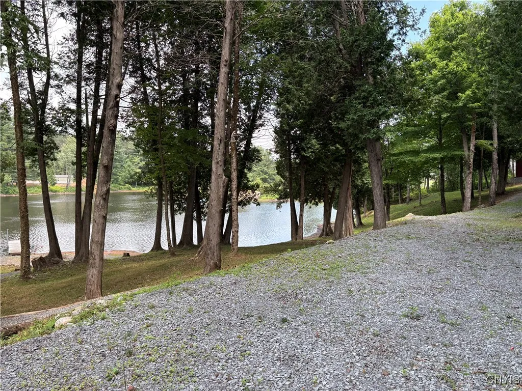 4279 Factory Road, Diana, New York 13665, Diana, New York 13665, ,Land,For Sale,4279 Factory Road, Diana, New York 13665,S1621857