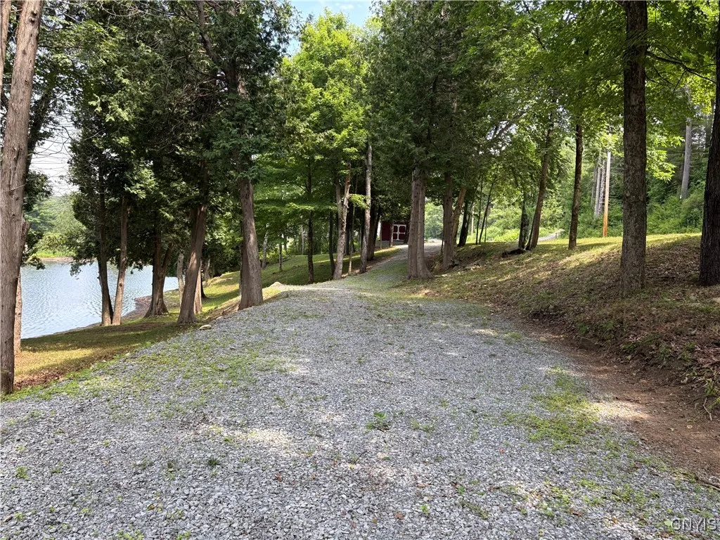 4279 Factory Road, Diana, New York 13665, Diana, New York 13665, ,Land,For Sale,4279 Factory Road, Diana, New York 13665,S1621857