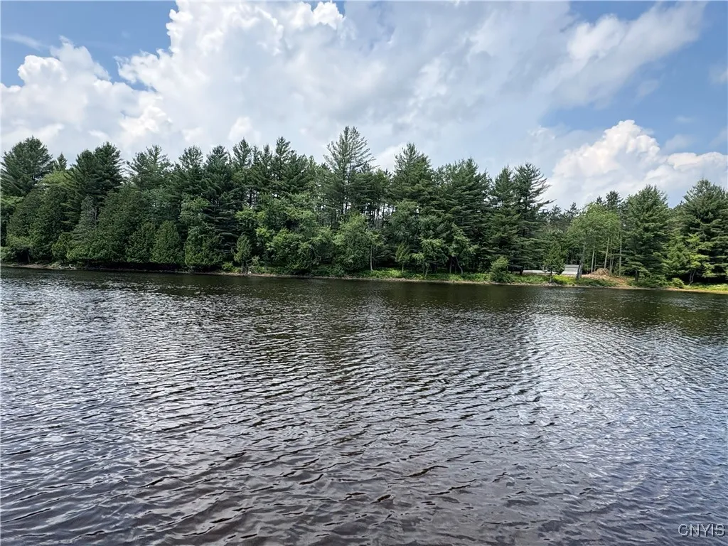 4279 Factory Road, Diana, New York 13665, Diana, New York 13665, ,Land,For Sale,4279 Factory Road, Diana, New York 13665,S1621857