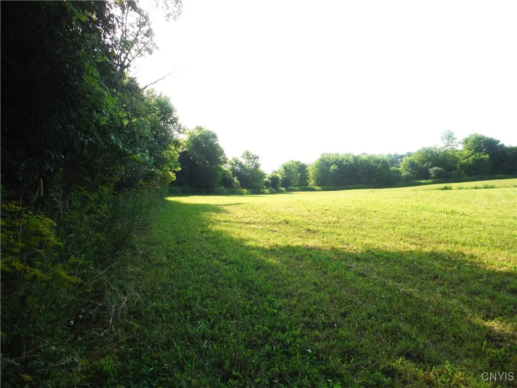 3946 East Road, West Turin, New York 13473, West Turin, New York 13473, ,Land,Closed,3946 East Road, West Turin, New York 13473,0,S1621732