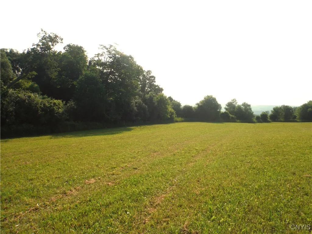 3946 East Road, West Turin, New York 13473, West Turin, New York 13473, ,Land,Closed,3946 East Road, West Turin, New York 13473,0,S1621732