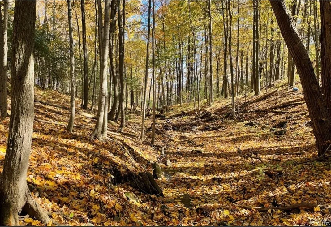 3946 East Road, West Turin, New York 13473, West Turin, New York 13473, ,Land,Closed,3946 East Road, West Turin, New York 13473,0,S1621732