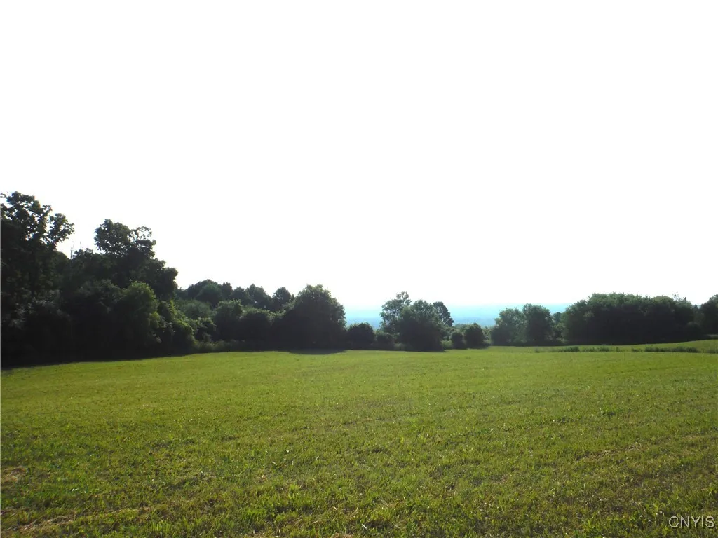 3946 East Road, West Turin, New York 13473, West Turin, New York 13473, ,Land,Closed,3946 East Road, West Turin, New York 13473,0,S1621732