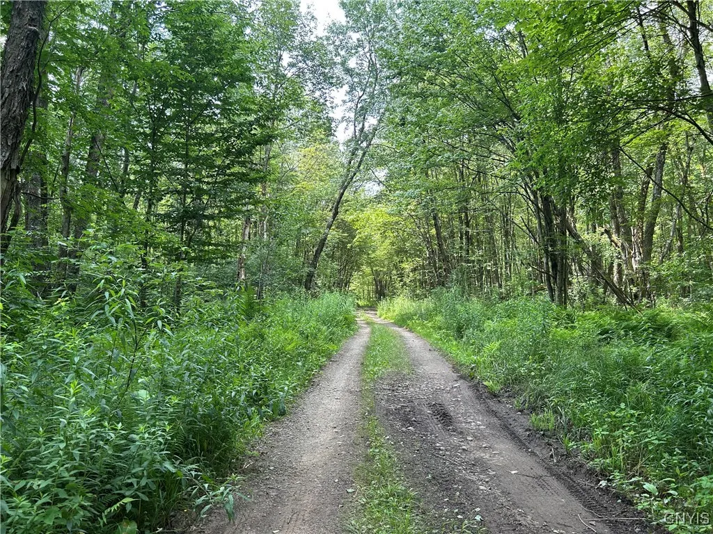 42 Kimball Camp Road, Orwell, New York 13144, Orwell, New York 13144, ,Land,For Sale,42 Kimball Camp Road, Orwell, New York 13144,S1622093