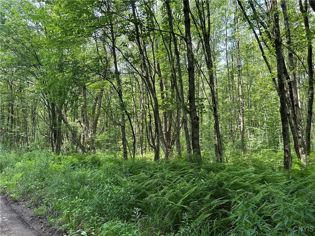 42 Kimball Camp Road, Orwell, New York 13144, Orwell, New York 13144, ,Land,For Sale,42 Kimball Camp Road, Orwell, New York 13144,S1622093