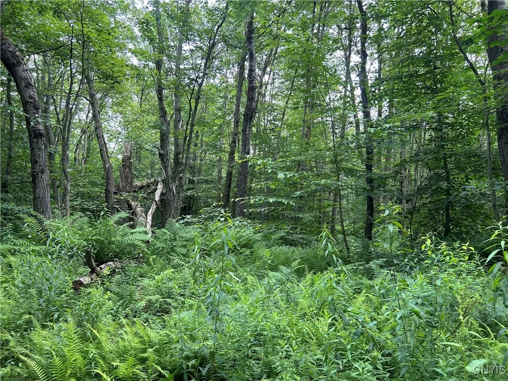 42 Kimball Camp Road, Orwell, New York 13144, Orwell, New York 13144, ,Land,For Sale,42 Kimball Camp Road, Orwell, New York 13144,S1622093