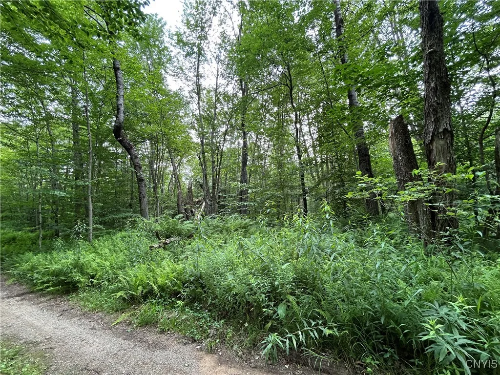 Kimball Camp Road, Orwell, New York 13144, Orwell, New York 13144, ,Land,For Sale,Kimball Camp Road, Orwell, New York 13144,S1622094