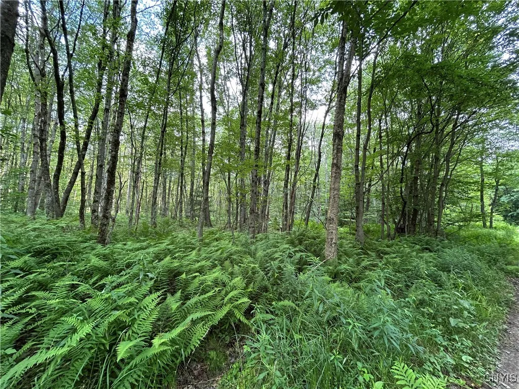 Kimball Camp Road, Orwell, New York 13144, Orwell, New York 13144, ,Land,For Sale,Kimball Camp Road, Orwell, New York 13144,S1622094