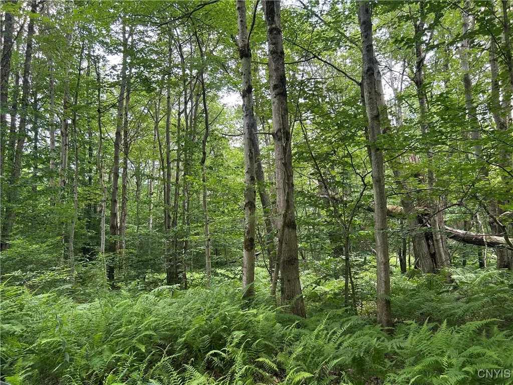 Kimball Camp Road, Orwell, New York 13144, Orwell, New York 13144, ,Land,For Sale,Kimball Camp Road, Orwell, New York 13144,S1622094