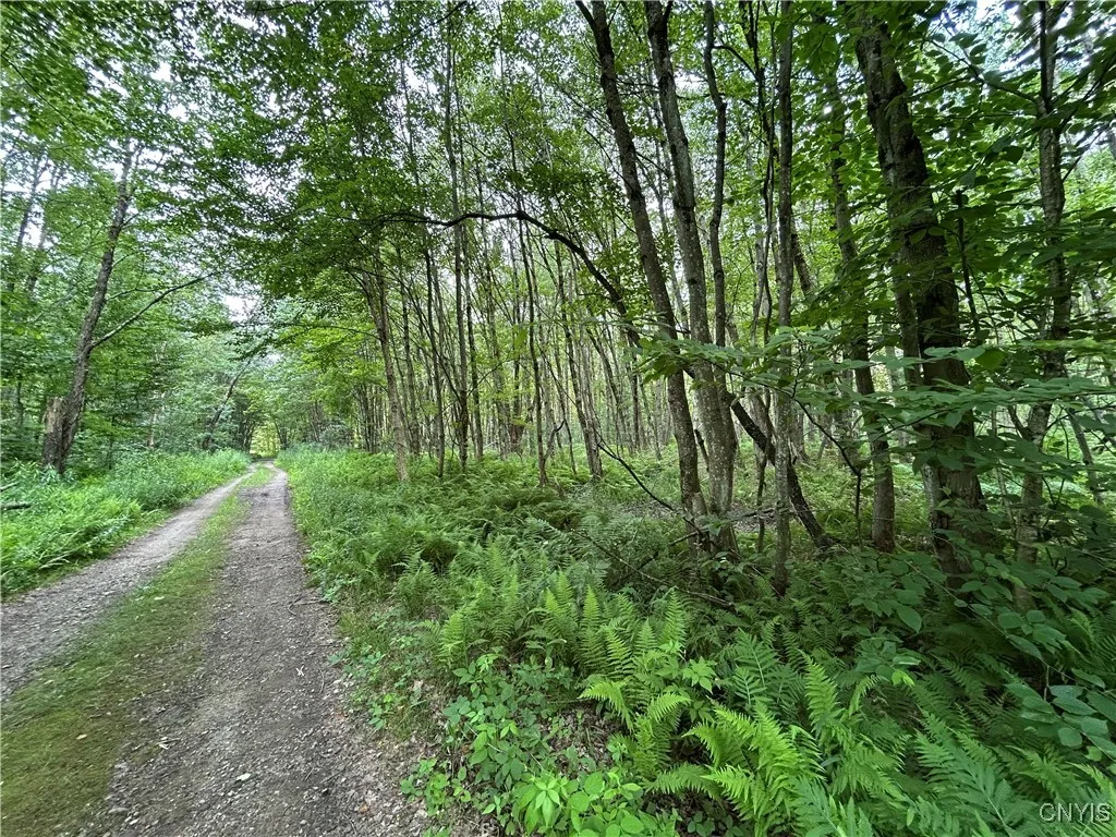 Kimball Camp Road, Orwell, New York 13144, Orwell, New York 13144, ,Land,For Sale,Kimball Camp Road, Orwell, New York 13144,S1622094