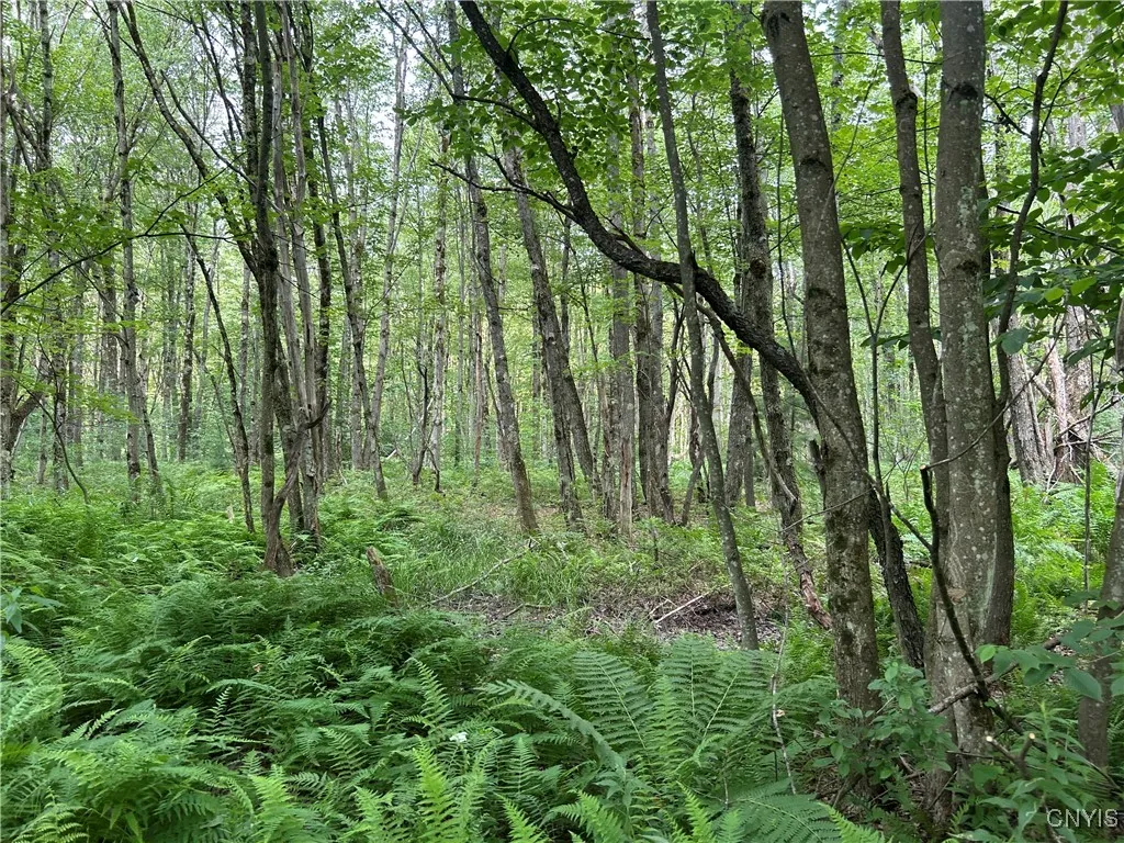 Kimball Camp Road, Orwell, New York 13144, Orwell, New York 13144, ,Land,For Sale,Kimball Camp Road, Orwell, New York 13144,S1622094