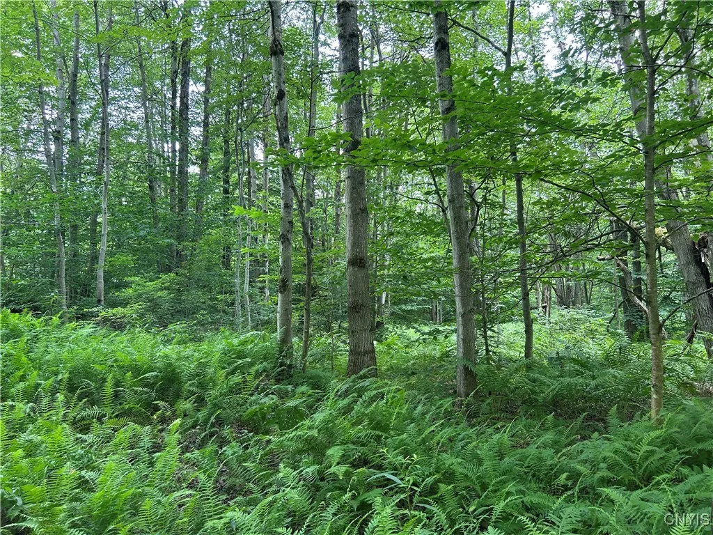 Kimball Camp Road, Orwell, New York 13144, Orwell, New York 13144, ,Land,For Sale,Kimball Camp Road, Orwell, New York 13144,S1622094