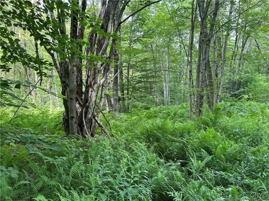 Kimball Camp Road, Orwell, New York 13144, Orwell, New York 13144, ,Land,For Sale,Kimball Camp Road, Orwell, New York 13144,S1622094