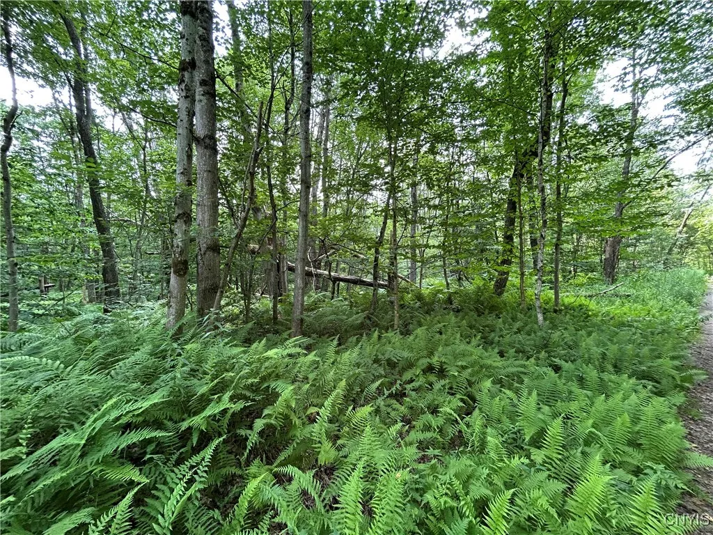 Kimball Camp Road, Orwell, New York 13144, Orwell, New York 13144, ,Land,For Sale,Kimball Camp Road, Orwell, New York 13144,S1622094