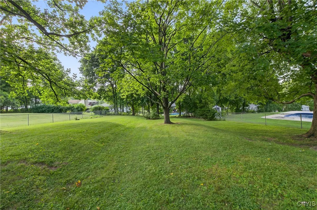 Large back yard!