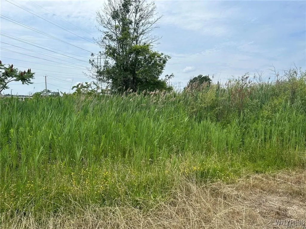 0 Williams Road West, Wheatfield, New York 14304, Wheatfield, New York 14304, ,Commercial Sale,For Sale,0 Williams Road West, Wheatfield, New York 14304,B1622343