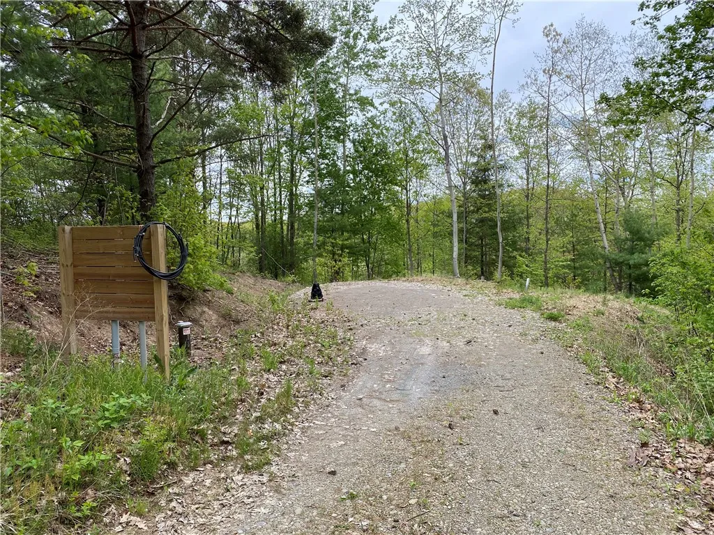 0 County Road 12, Naples, New York 14512, Naples, New York 14512, ,Land,For Sale,0 County Road 12, Naples, New York 14512,R1622434