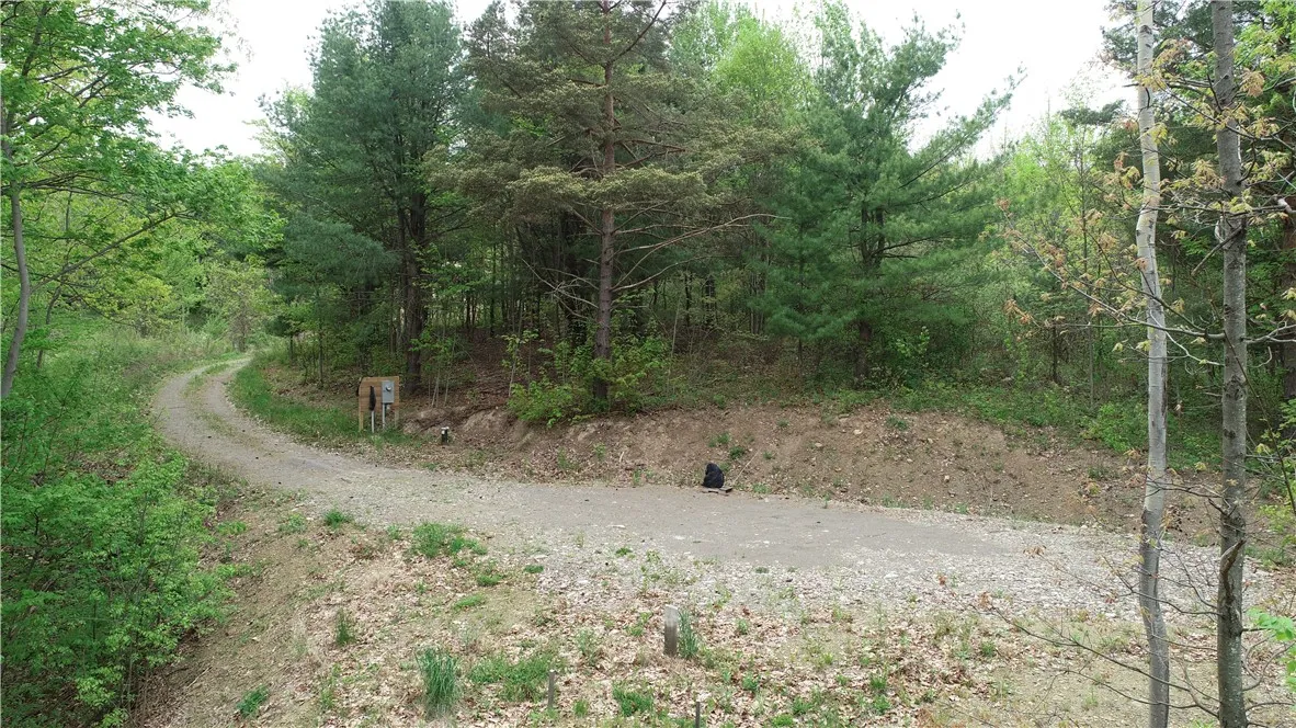 0 County Road 12, Naples, New York 14512, Naples, New York 14512, ,Land,For Sale,0 County Road 12, Naples, New York 14512,R1622434
