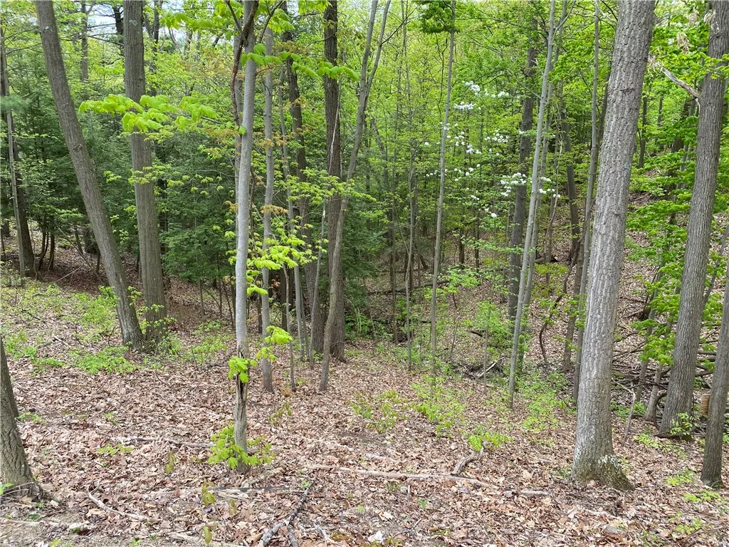 0 County Road 12, Naples, New York 14512, Naples, New York 14512, ,Land,For Sale,0 County Road 12, Naples, New York 14512,R1622434
