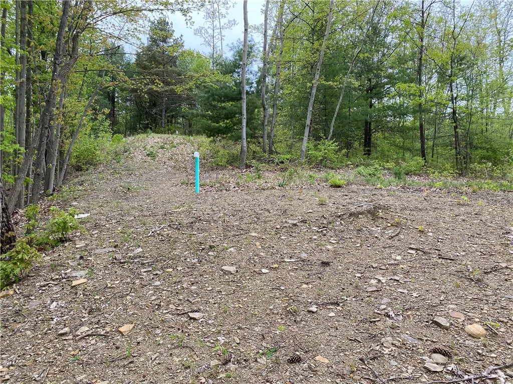 0 County Road 12, Naples, New York 14512, Naples, New York 14512, ,Land,For Sale,0 County Road 12, Naples, New York 14512,R1622434