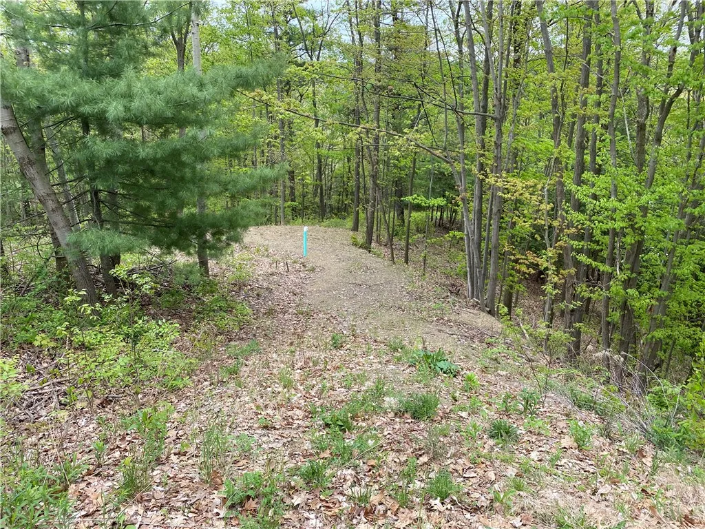 0 County Road 12, Naples, New York 14512, Naples, New York 14512, ,Land,For Sale,0 County Road 12, Naples, New York 14512,R1622434