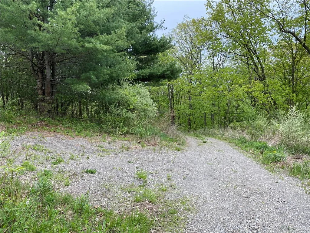 0 County Road 12, Naples, New York 14512, Naples, New York 14512, ,Land,For Sale,0 County Road 12, Naples, New York 14512,R1622434