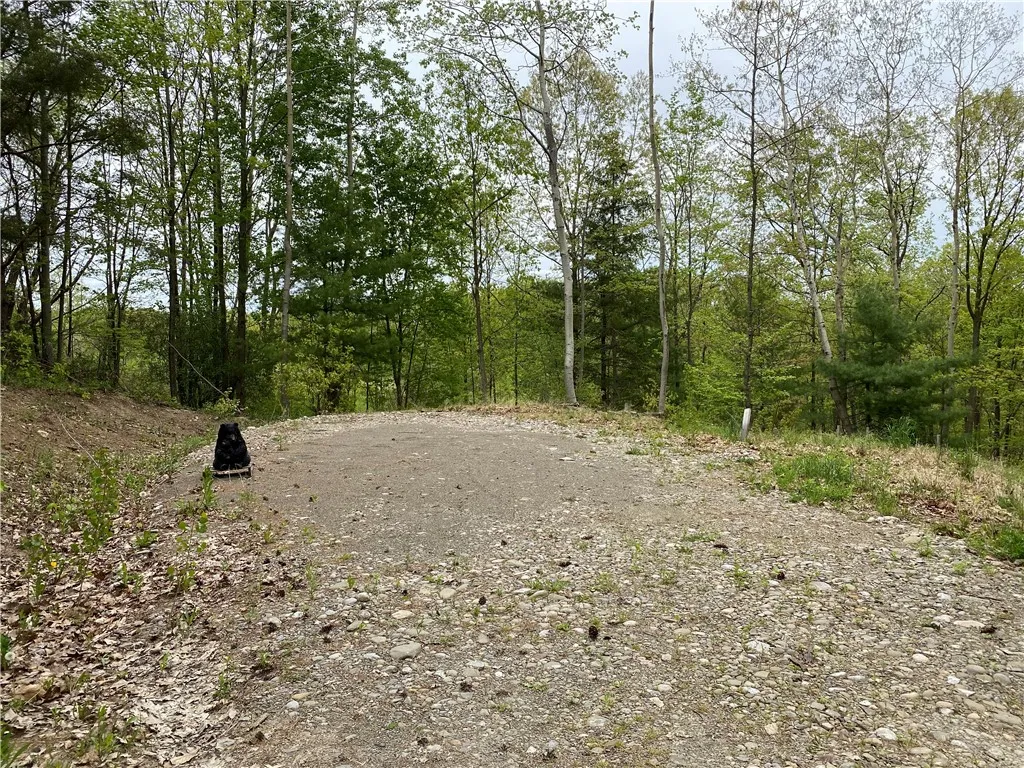 0 County Road 12, Naples, New York 14512, Naples, New York 14512, ,Land,For Sale,0 County Road 12, Naples, New York 14512,R1622434