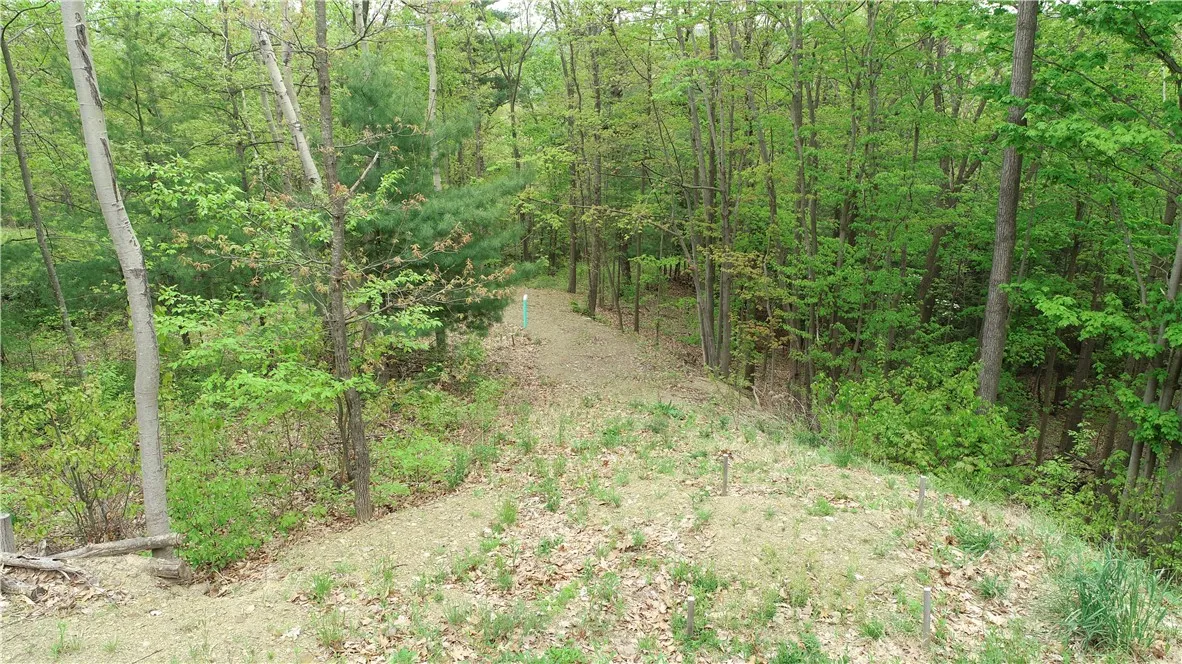 0 County Road 12, Naples, New York 14512, Naples, New York 14512, ,Land,For Sale,0 County Road 12, Naples, New York 14512,R1622434