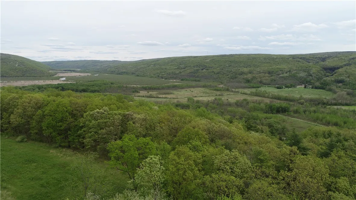 0 County Road 12, Naples, New York 14512, Naples, New York 14512, ,Land,For Sale,0 County Road 12, Naples, New York 14512,R1622434