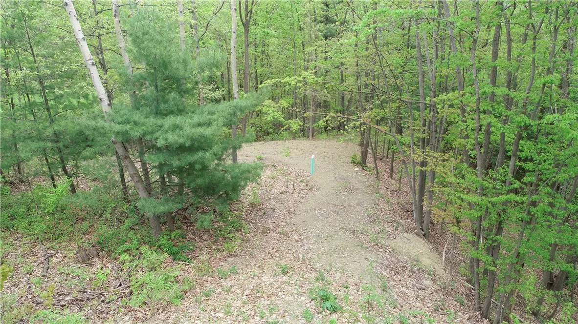 0 County Road 12, Naples, New York 14512, Naples, New York 14512, ,Land,For Sale,0 County Road 12, Naples, New York 14512,R1622434
