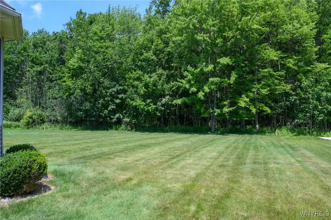 Looking out from the side yard