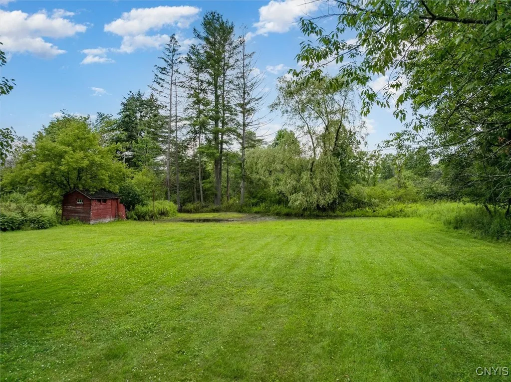 Backyard views