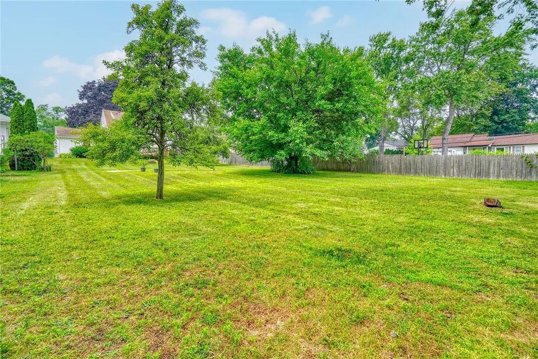 HUGE backyard with pear trees