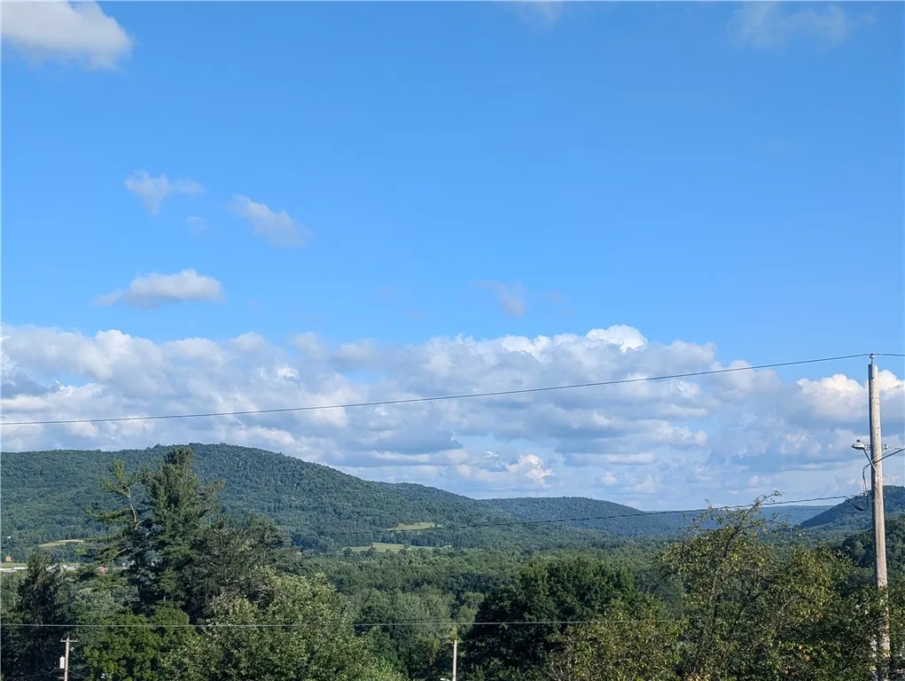 310 East Green Street, Smethport Boro, Pennsylvani, Smethport Boro, Pennsylvania 16749, 3 Bedrooms Bedrooms, 9 Rooms Rooms,2 BathroomsBathrooms,Residential,For Sale,310 East Green Street, Smethport Boro, Pennsylvani,R1622328