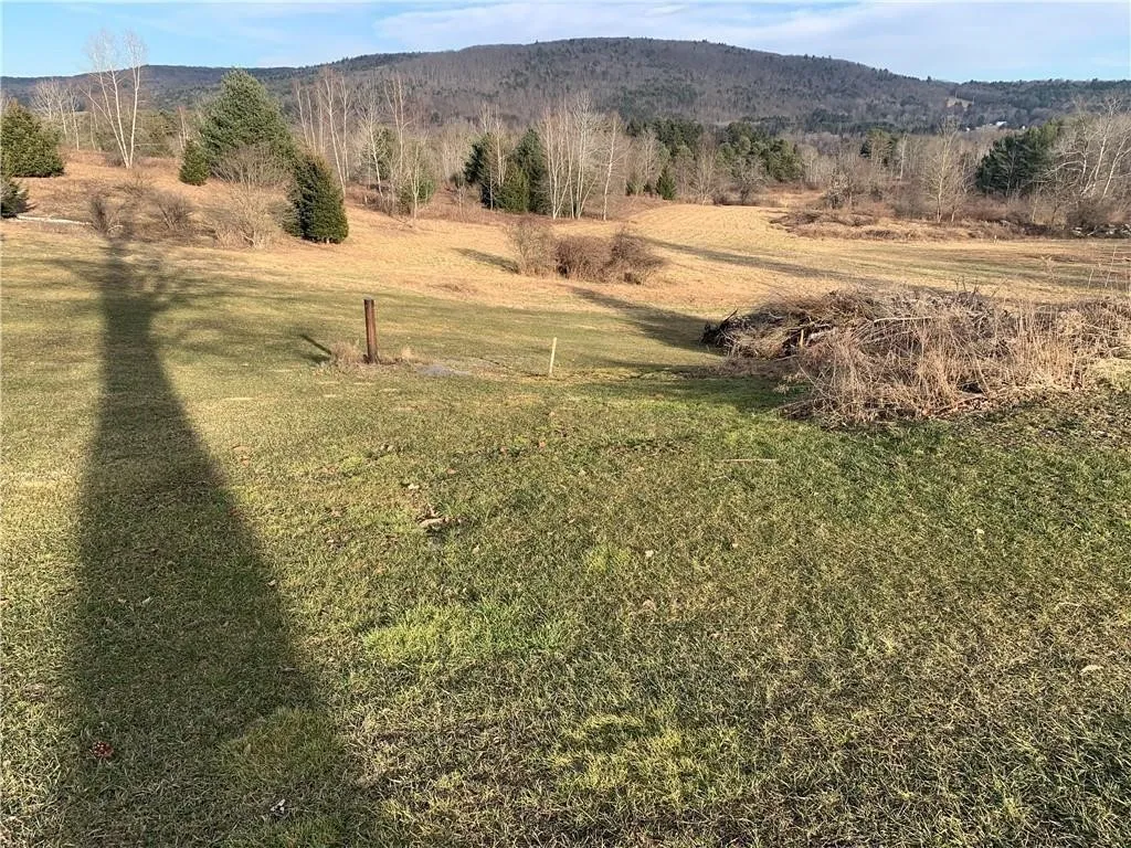 0 State Highway 23, Oneonta, New York 13861, Oneonta, New York 13861, ,Land,For Sale,0 State Highway 23, Oneonta, New York 13861,R1622591