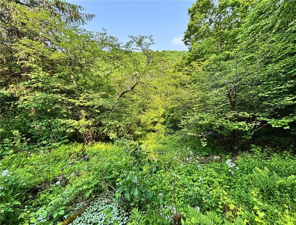 Glen Bernie Road, Delhi, New York 13753, Delhi, New York 13753, ,Land,For Sale,Glen Bernie Road, Delhi, New York 13753,R1619165
