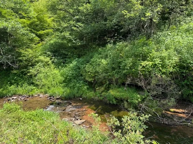 Glen Bernie Road, Delhi, New York 13753, Delhi, New York 13753, ,Land,For Sale,Glen Bernie Road, Delhi, New York 13753,R1619165