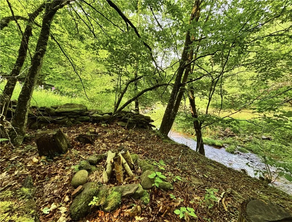 Glen Bernie Road, Delhi, New York 13753, Delhi, New York 13753, ,Land,For Sale,Glen Bernie Road, Delhi, New York 13753,R1619165