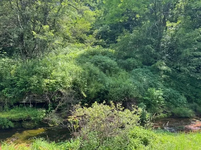Glen Bernie Road, Delhi, New York 13753, Delhi, New York 13753, ,Land,For Sale,Glen Bernie Road, Delhi, New York 13753,R1619165