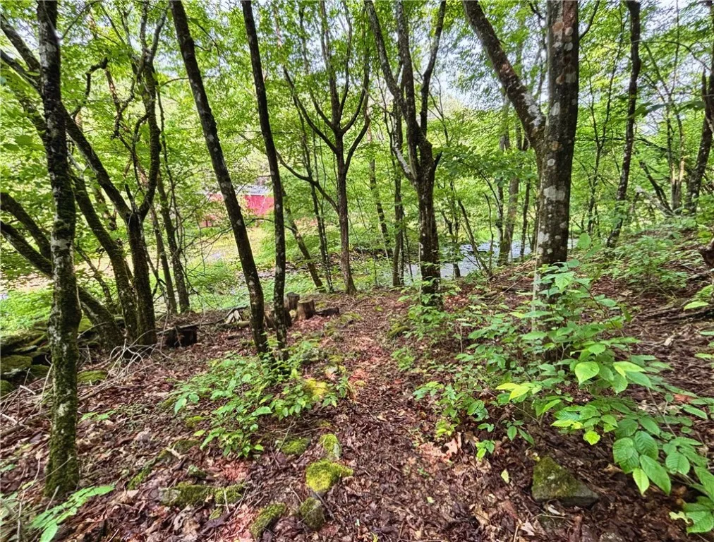 Glen Bernie Road, Delhi, New York 13753, Delhi, New York 13753, ,Land,For Sale,Glen Bernie Road, Delhi, New York 13753,R1619165