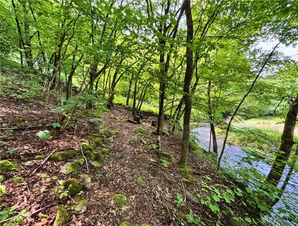 Glen Bernie Road, Delhi, New York 13753, Delhi, New York 13753, ,Land,For Sale,Glen Bernie Road, Delhi, New York 13753,R1619165