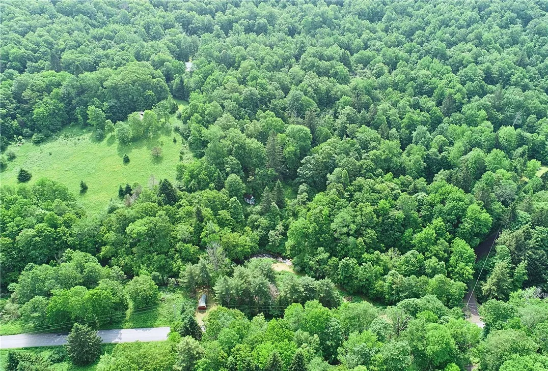 Glen Bernie Road, Delhi, New York 13753, Delhi, New York 13753, ,Land,For Sale,Glen Bernie Road, Delhi, New York 13753,R1619165