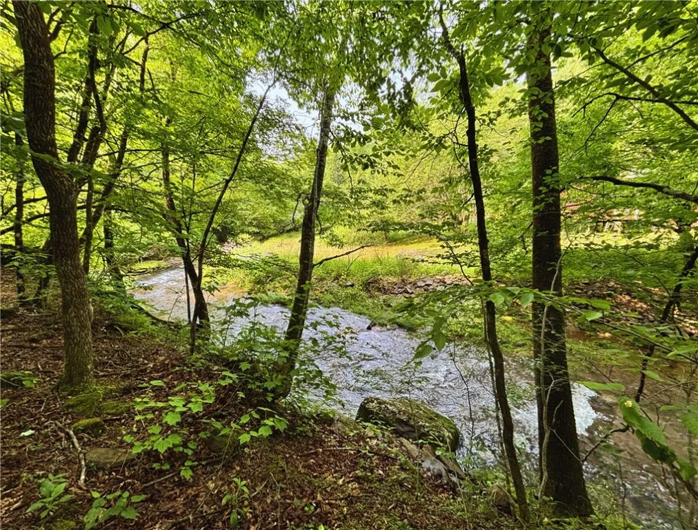 Glen Bernie Road, Delhi, New York 13753, Delhi, New York 13753, ,Land,For Sale,Glen Bernie Road, Delhi, New York 13753,R1619165